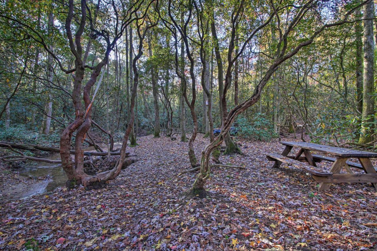 5-Acre North Georgia Mountain Retreat With Creek! Villa Sautee Nacoochee Luaran gambar